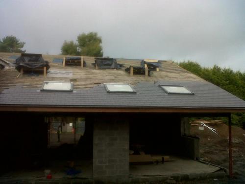 IMG02042-20131129-1339-Bfast-Reno