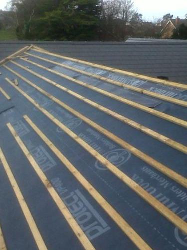 IMG02048-20131129-1357-Reno-