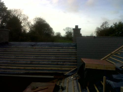 IMG02050-20131129-1357-Reno-